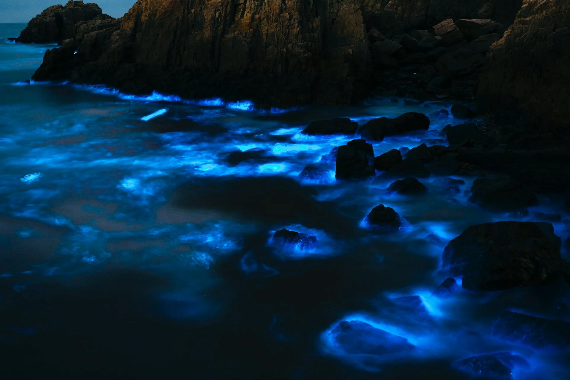 Kayak Nocturno Bioluminiscente