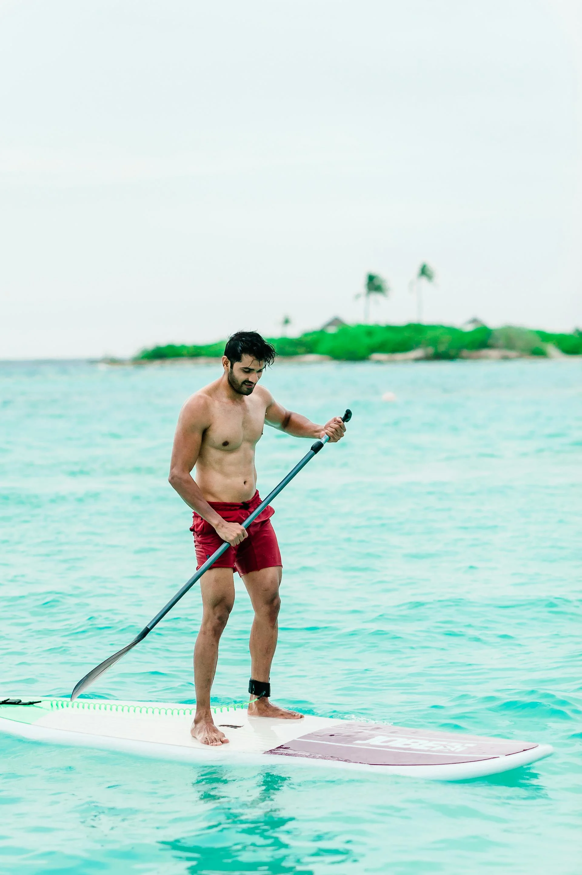 Stand Up Paddle (SUP)