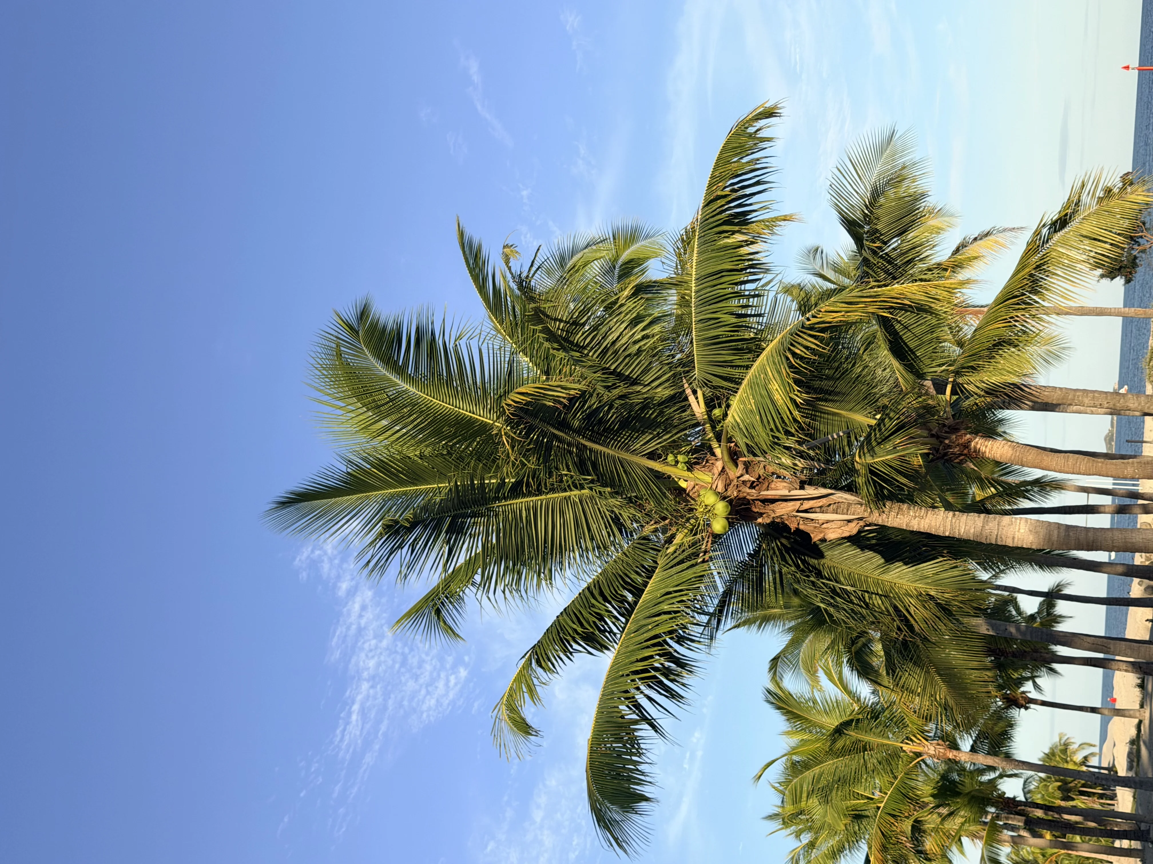 Playa Buenaventura - 13