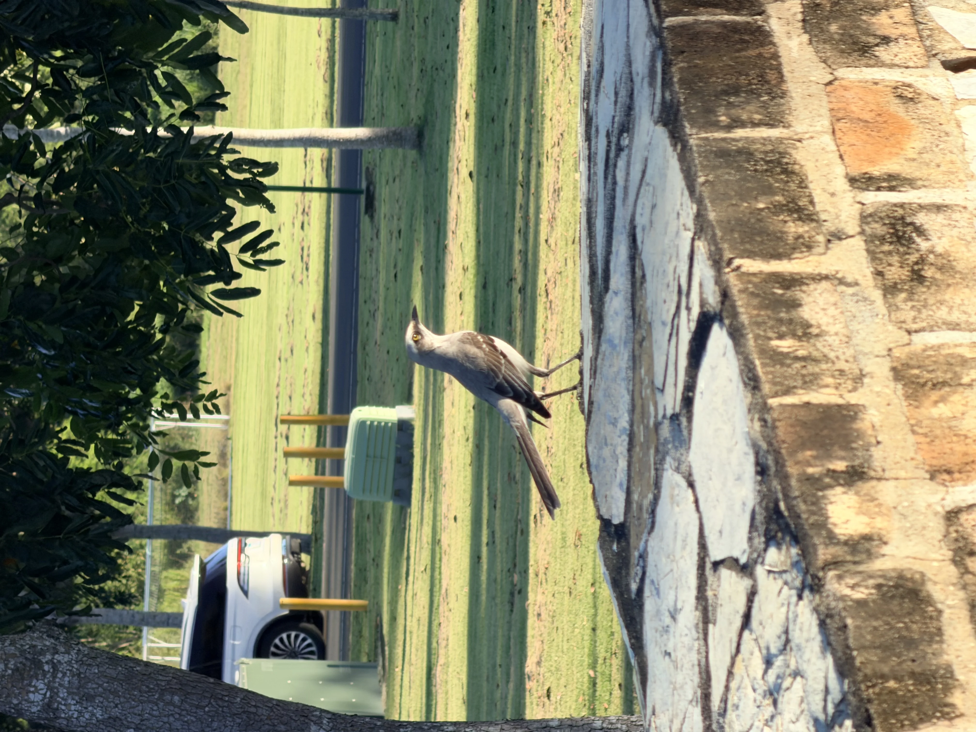 Zoológico y Senderos de Buenaventura