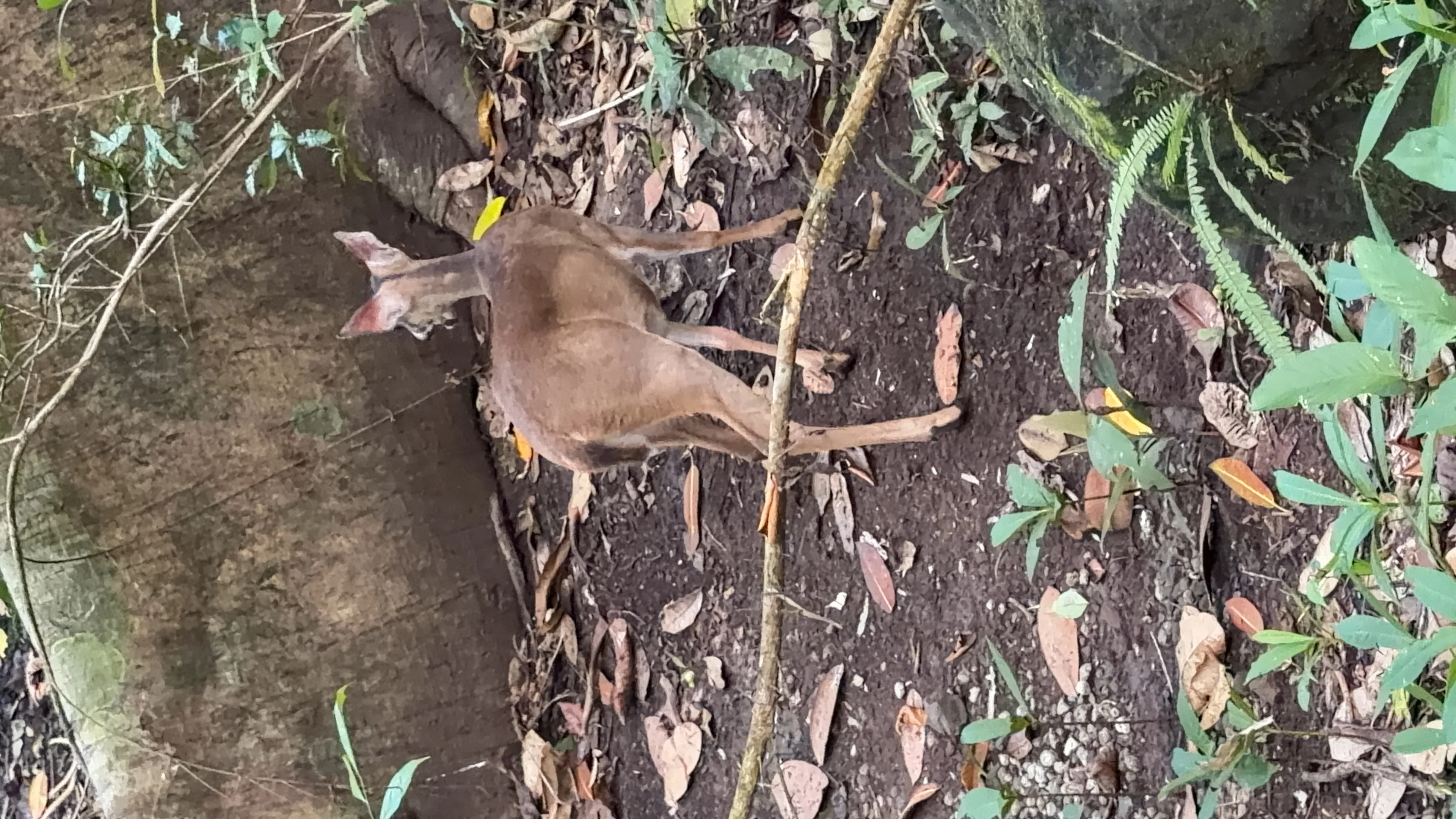 Metropolitaner Naturpark - 3