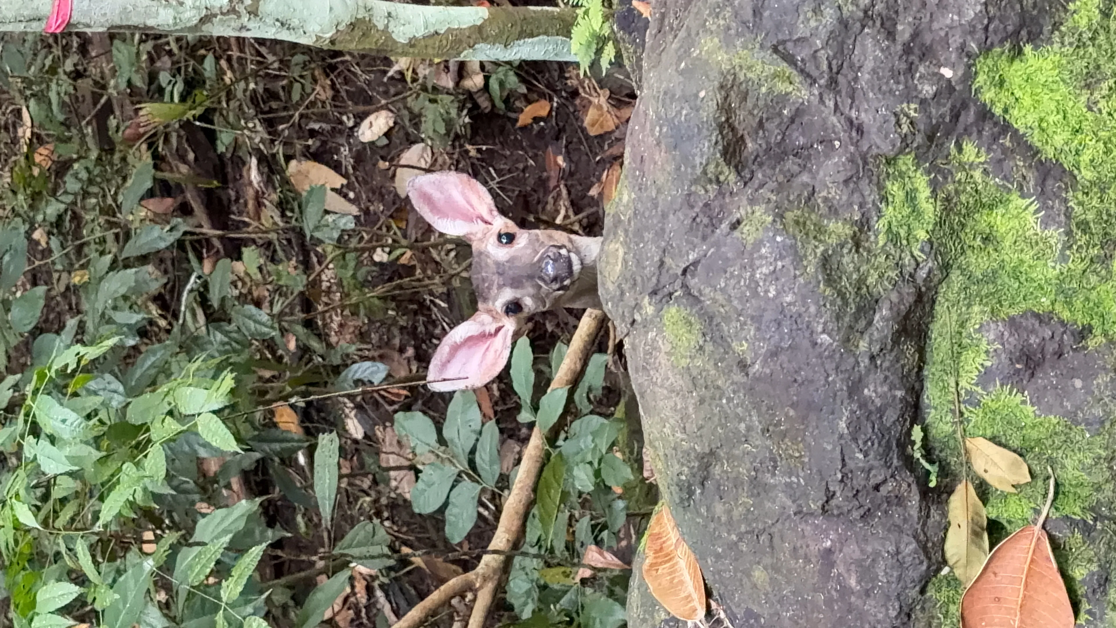 Metropolitaner Naturpark - 5