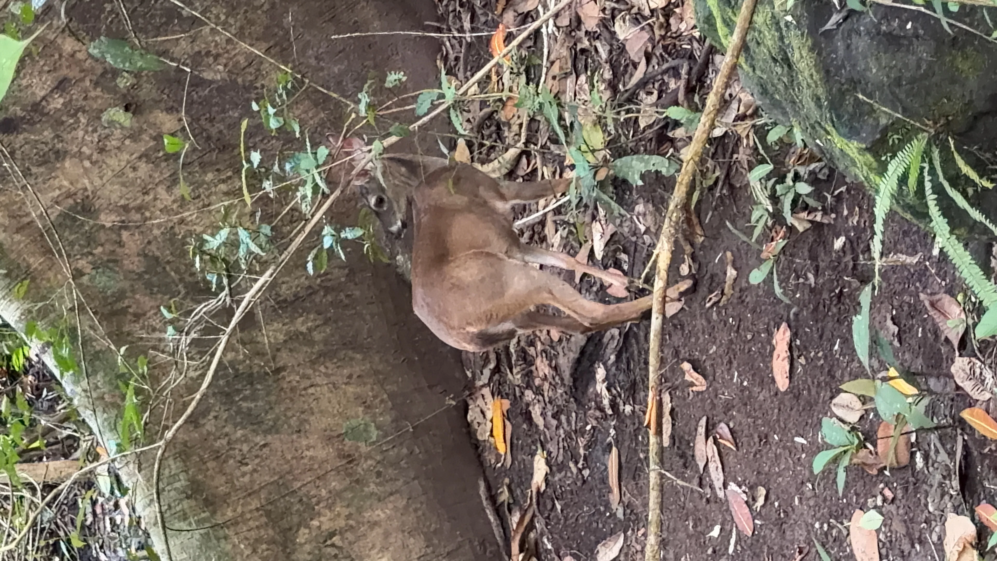 Metropolitaner Naturpark - 4