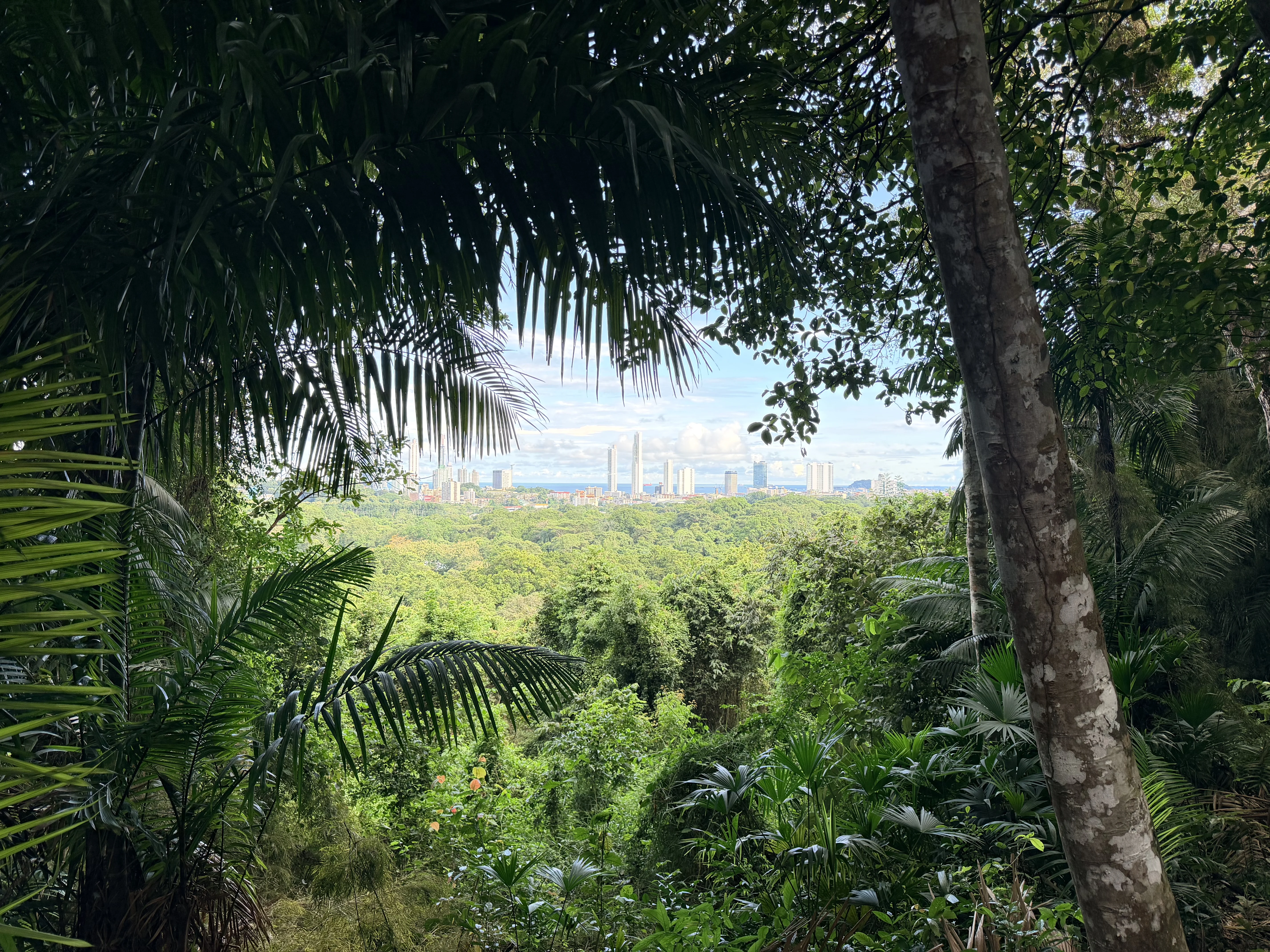 Metropolitaner Naturpark - 2