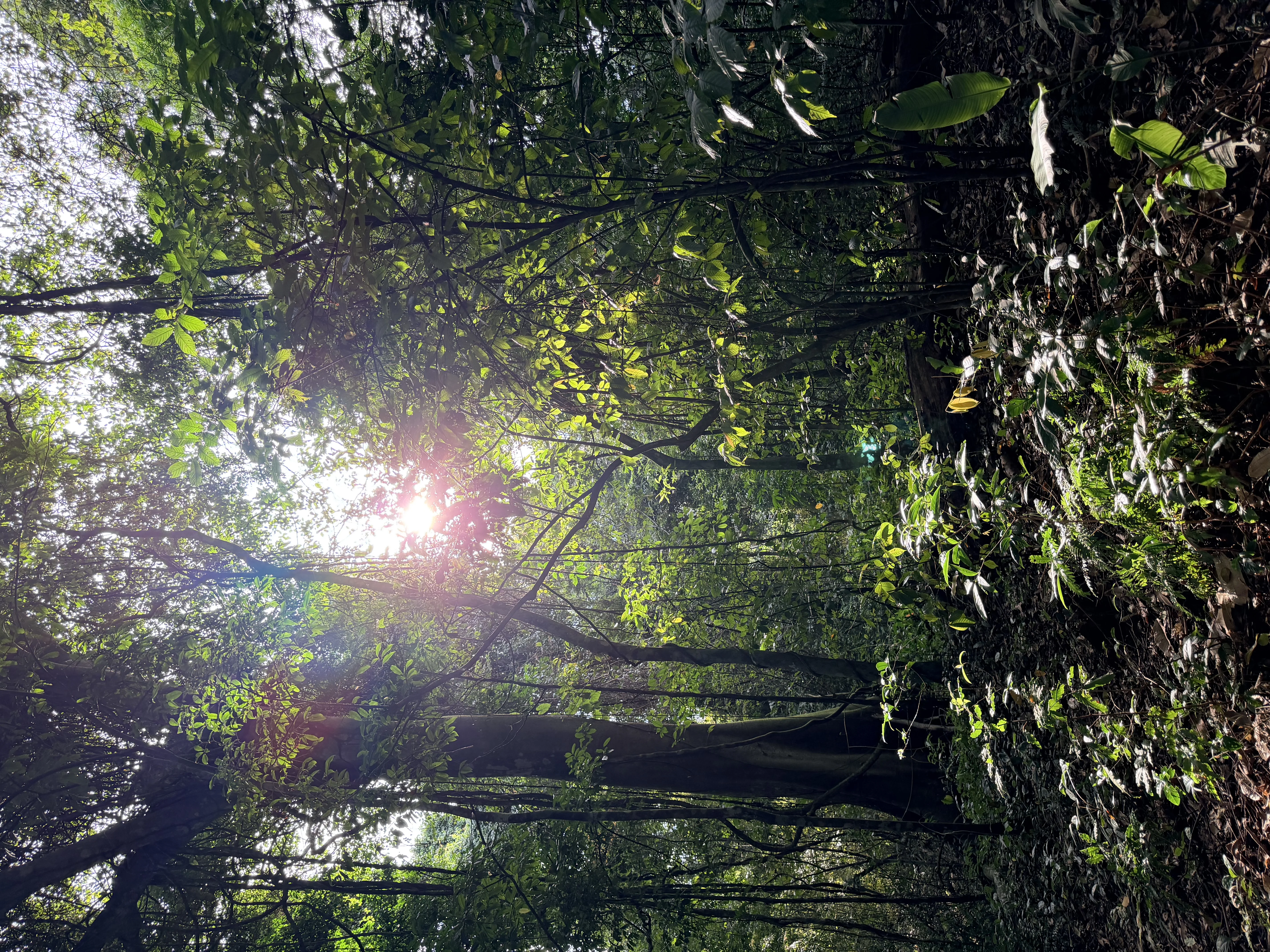 Metropolitaner Naturpark - 6